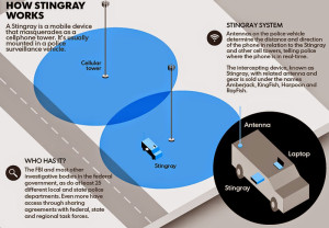 IRS Puts Reins on Stingray Technology